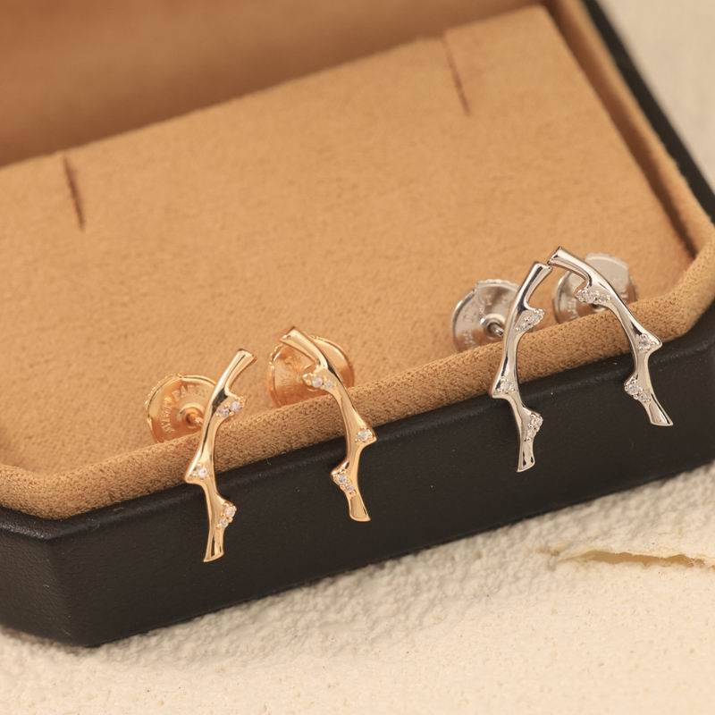 Dior Earring 08yxs21